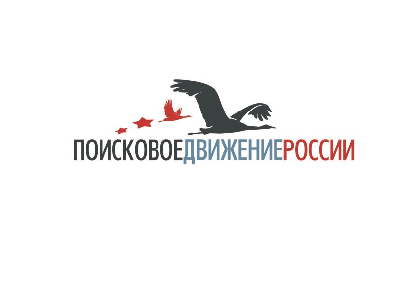Поисковое движение России.